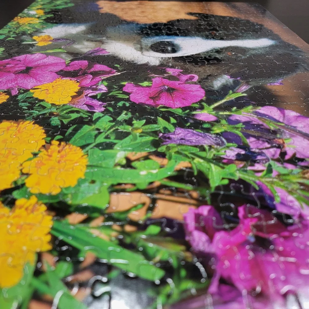 Sure-Lox Border Collie with Petunias 500 Piece Jigsaw Puzzle with Back Image
